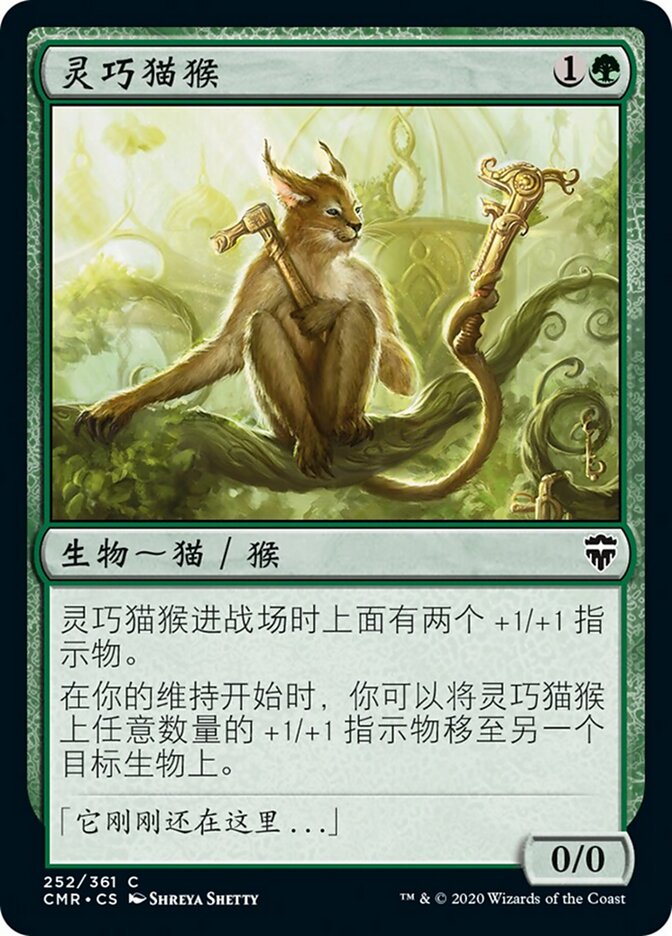 灵巧猫猴