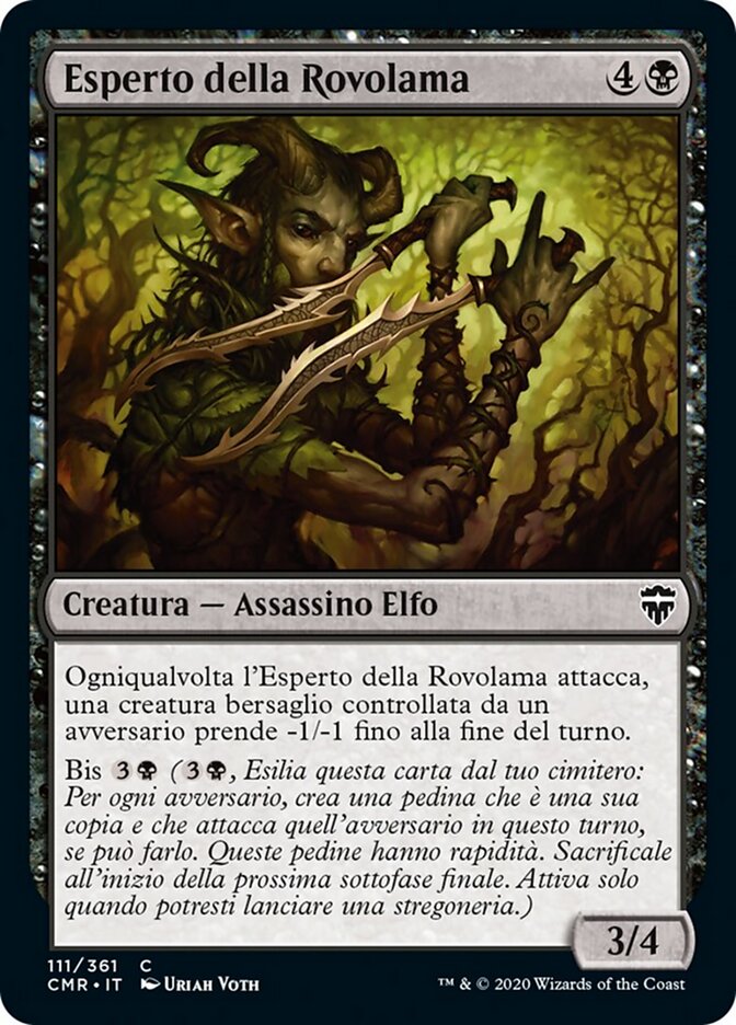 Esperto della Rovolama
