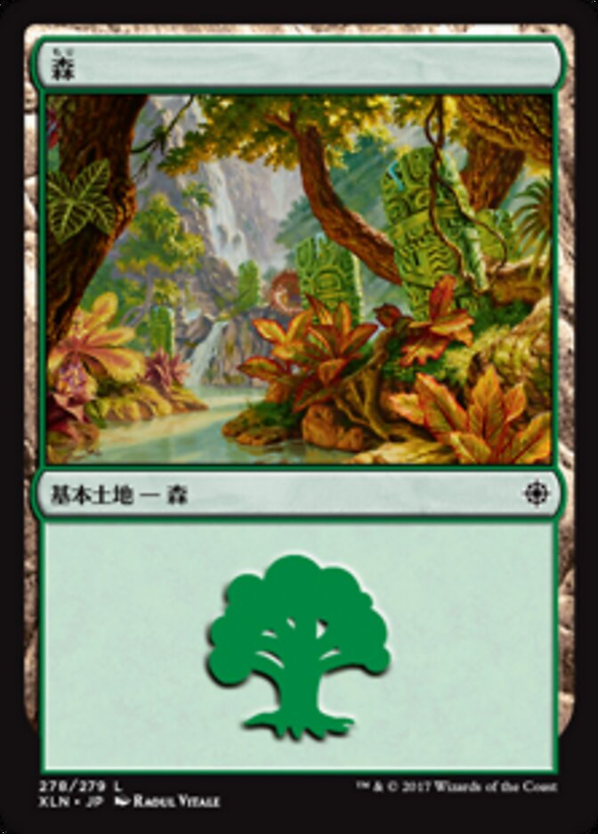 森