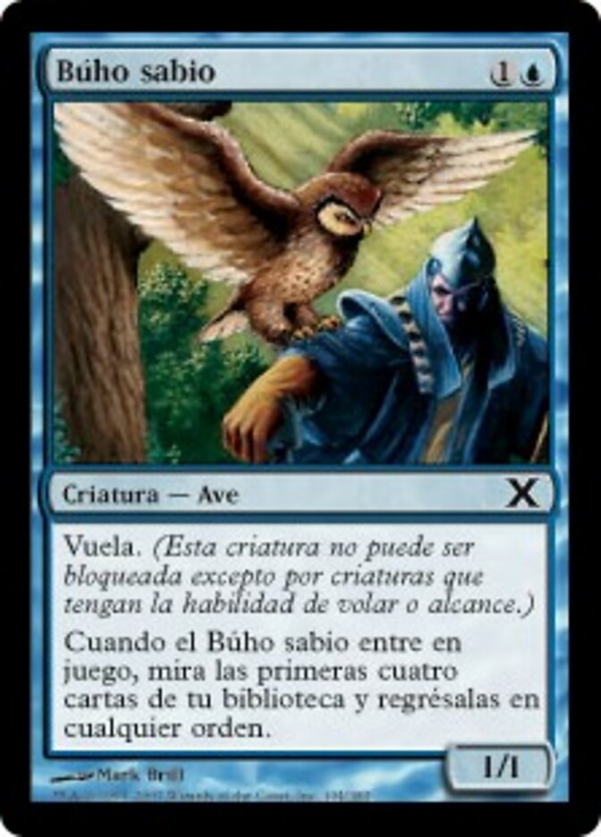 Búho sabio