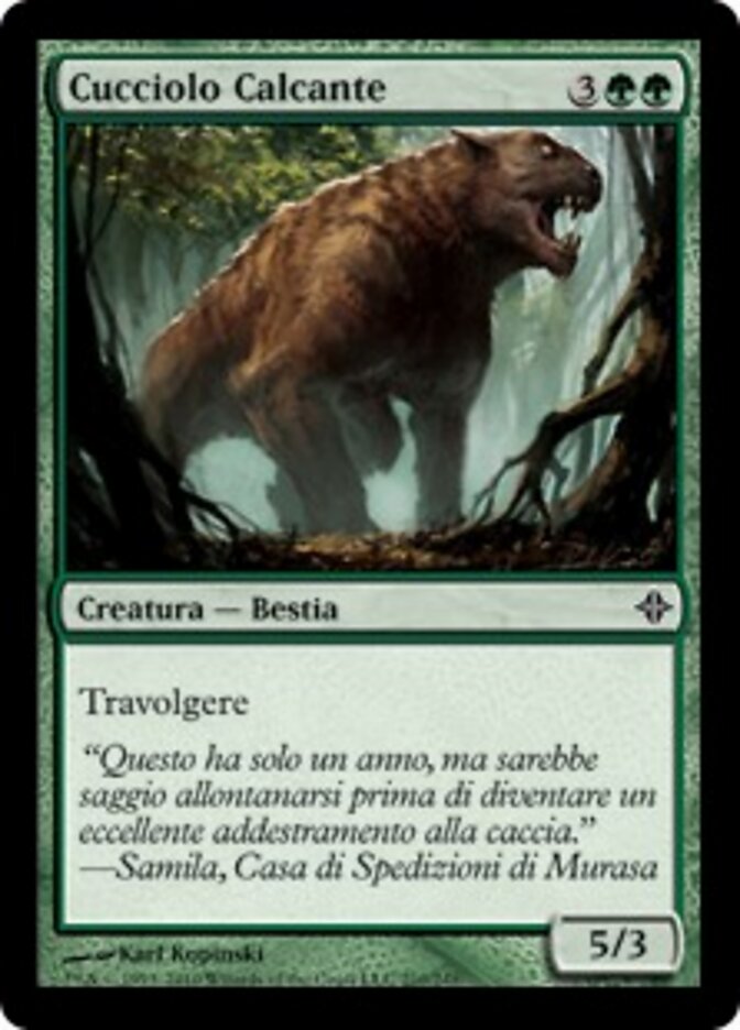 Cucciolo Calcante