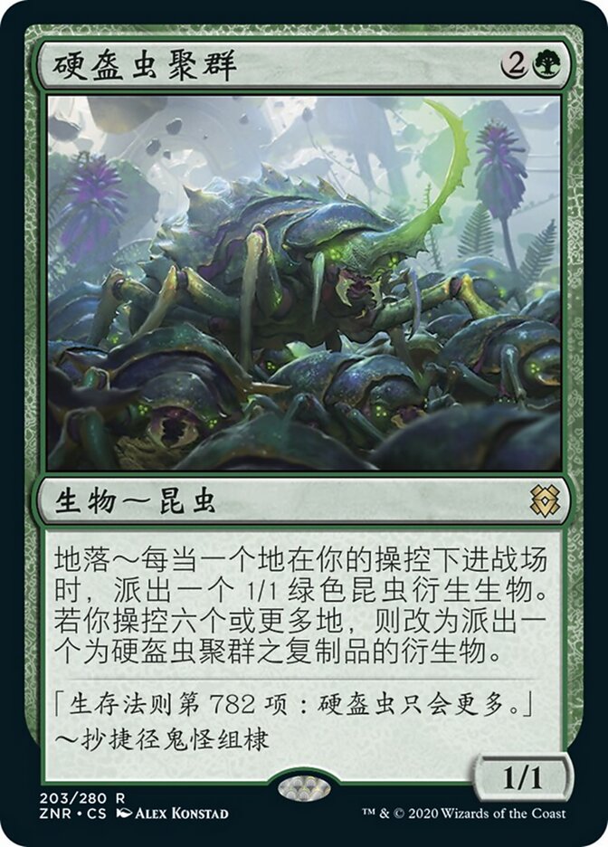 硬盔虫聚群