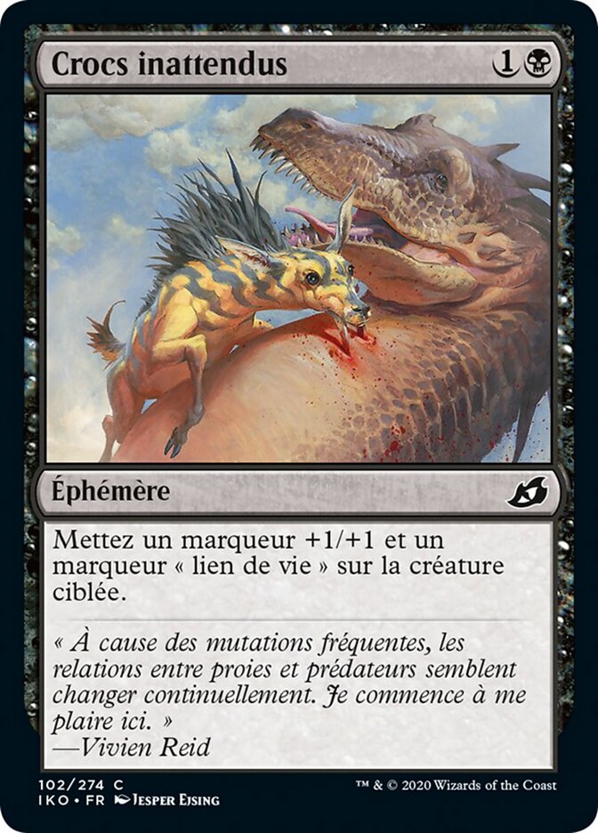 Crocs inattendus