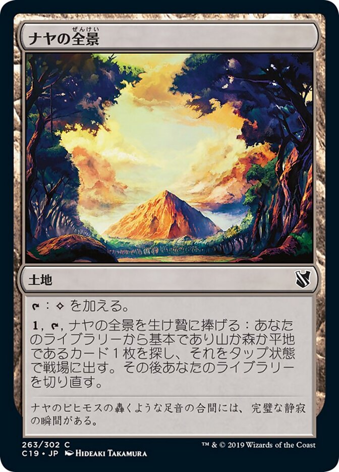 ナヤの全景