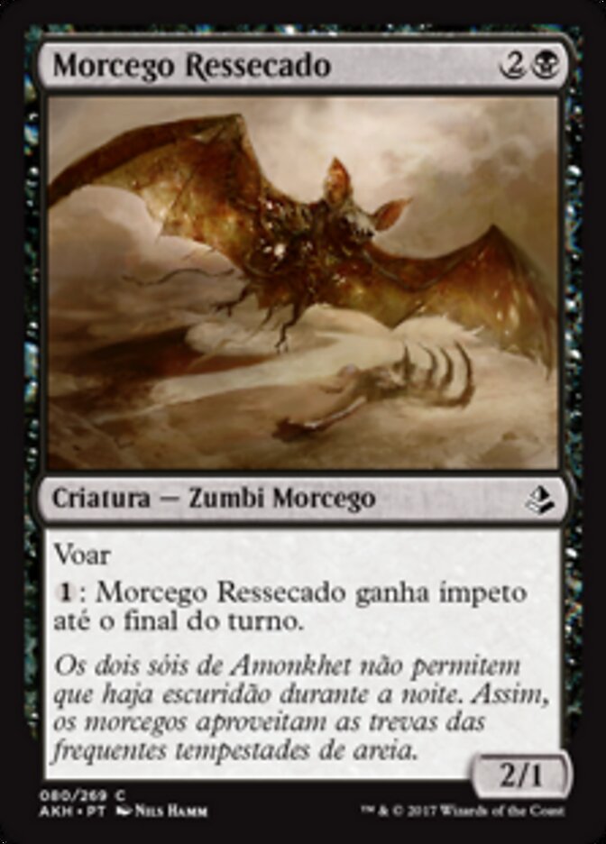 Morcego Ressecado