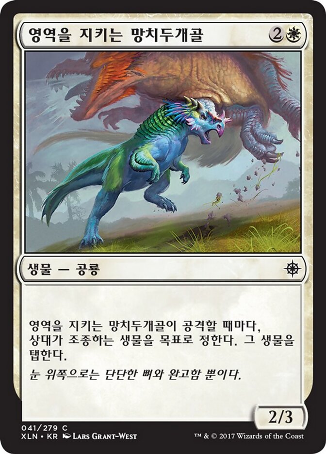영역을 지키는 망치두개골