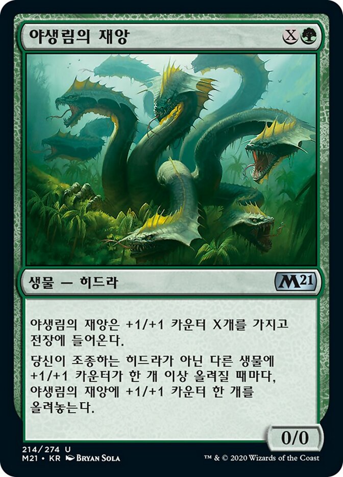 야생림의 재앙