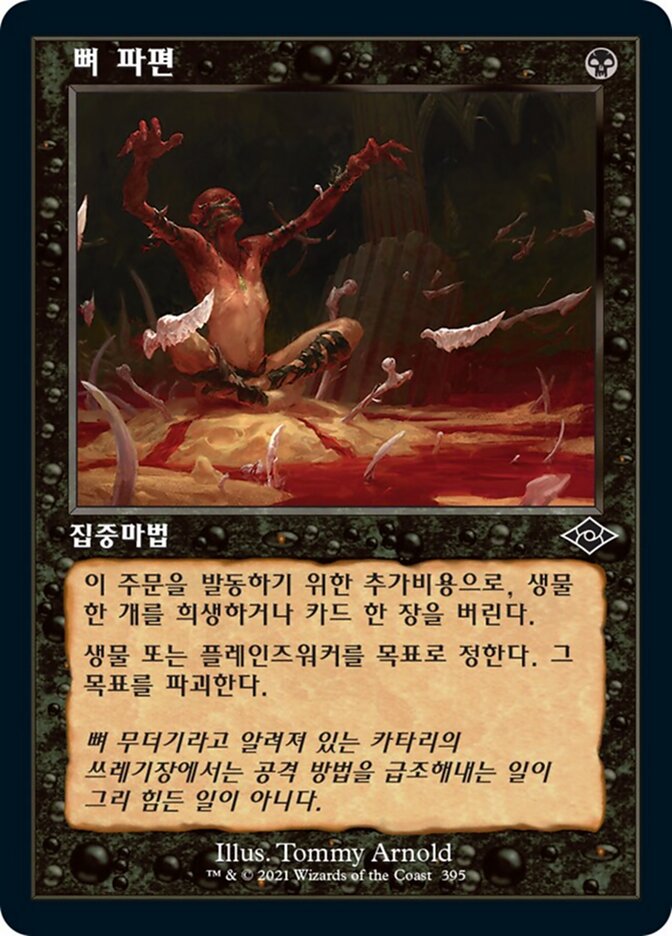 뼈 파편