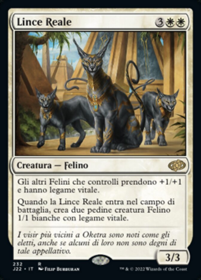 Lince Reale
