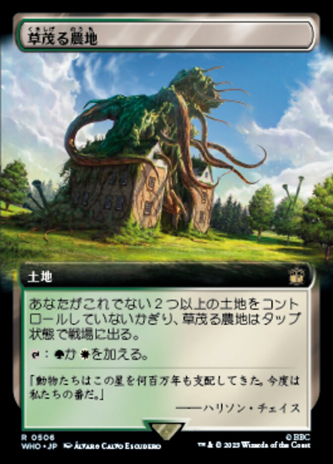草茂る農地