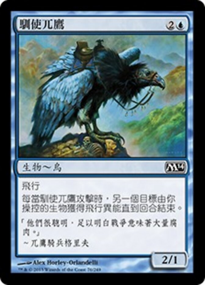 馴使兀鷹