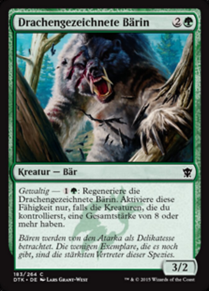 Drachengezeichnete Bärin