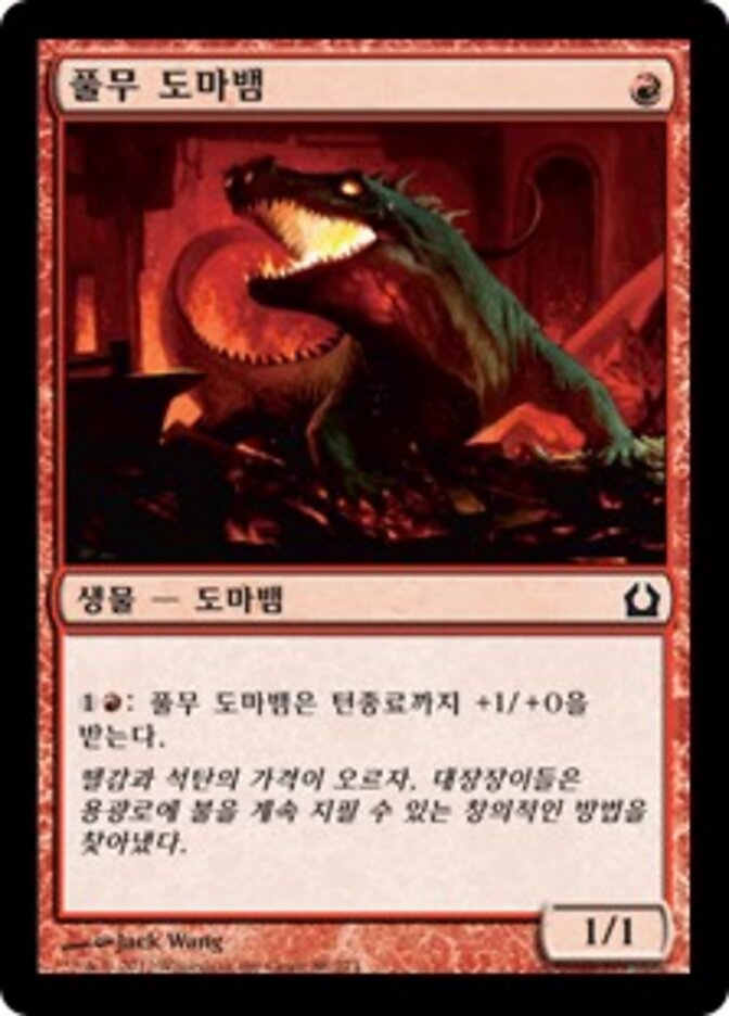 풀무 도마뱀
