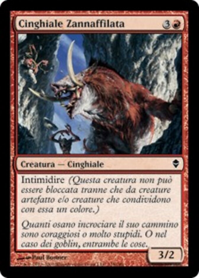 Cinghiale Zannaffilata