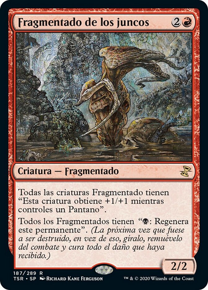 Fragmentado de los juncos