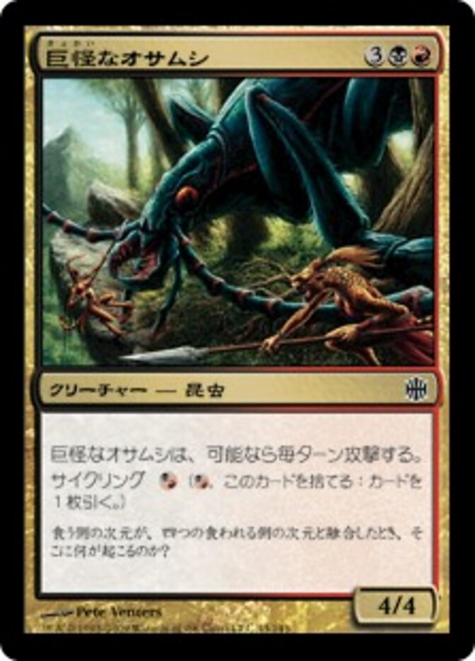 巨怪なオサムシ