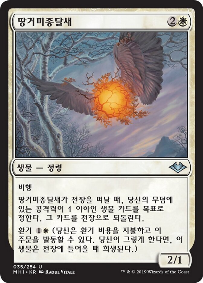 땅거미종달새