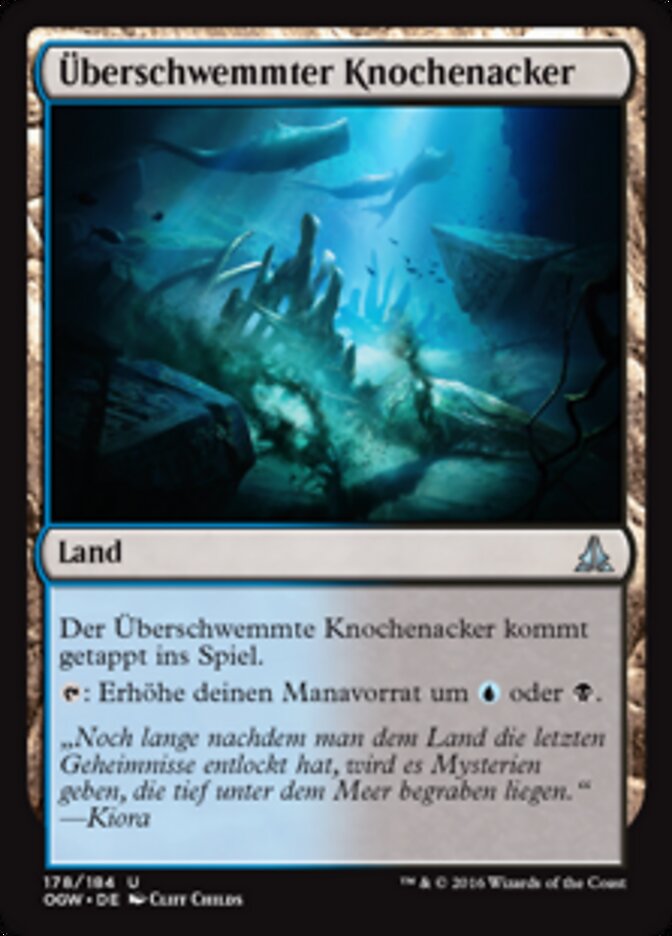 Überschwemmter Knochenacker