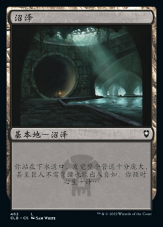 沼泽