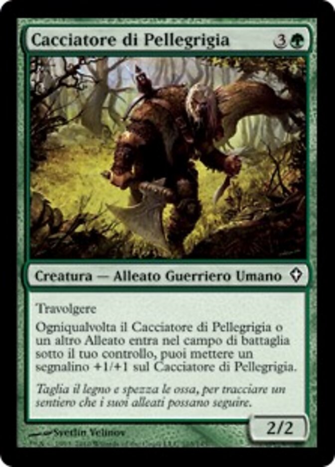 Cacciatore di Pellegrigia