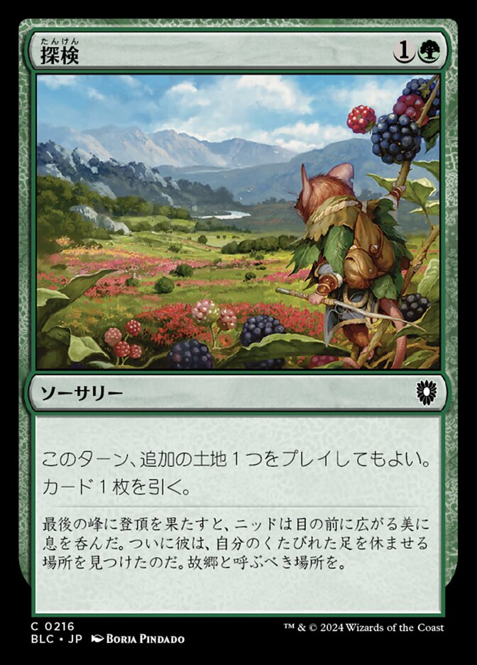 探検