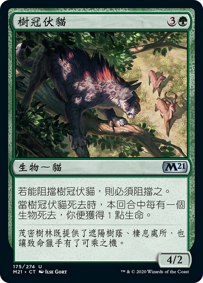 樹冠伏貓