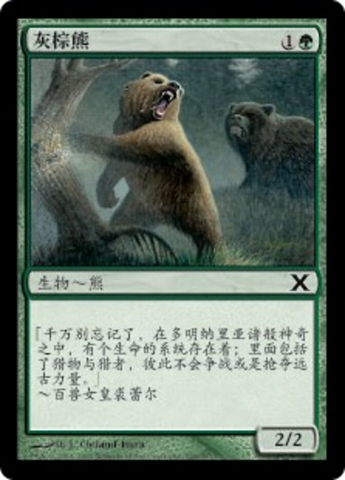灰棕熊