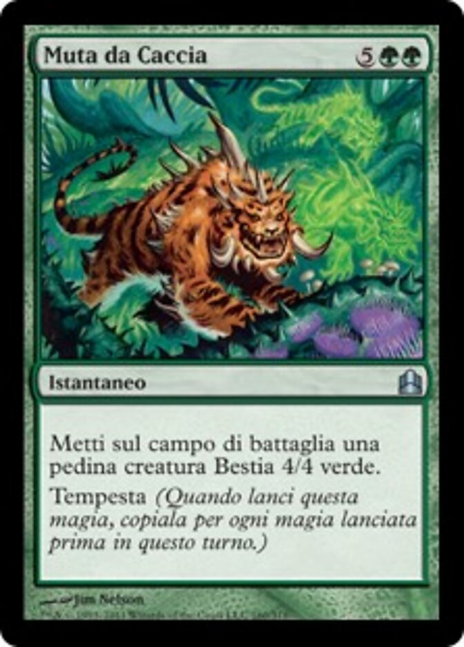 Muta da Caccia