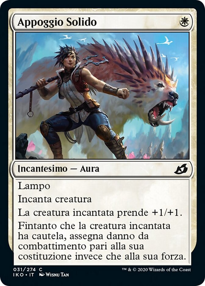 Appoggio Solido