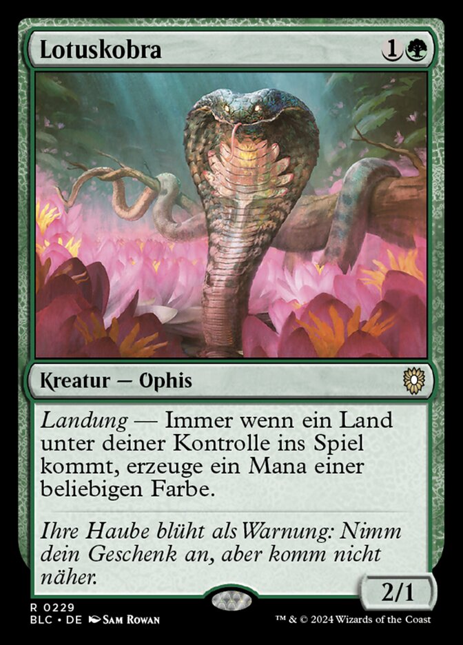 Lotuskobra