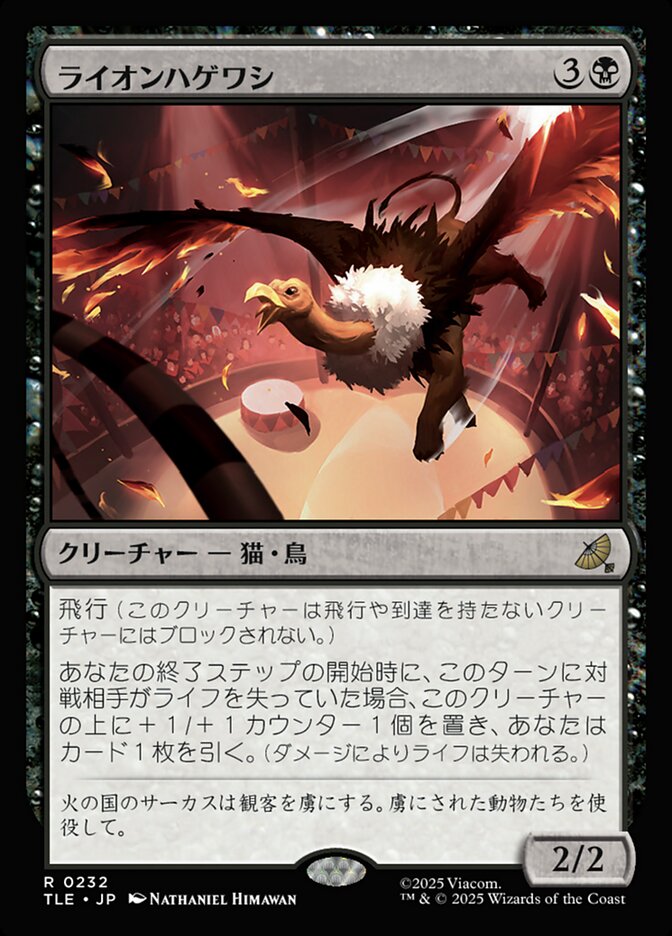 ライオンハゲワシ