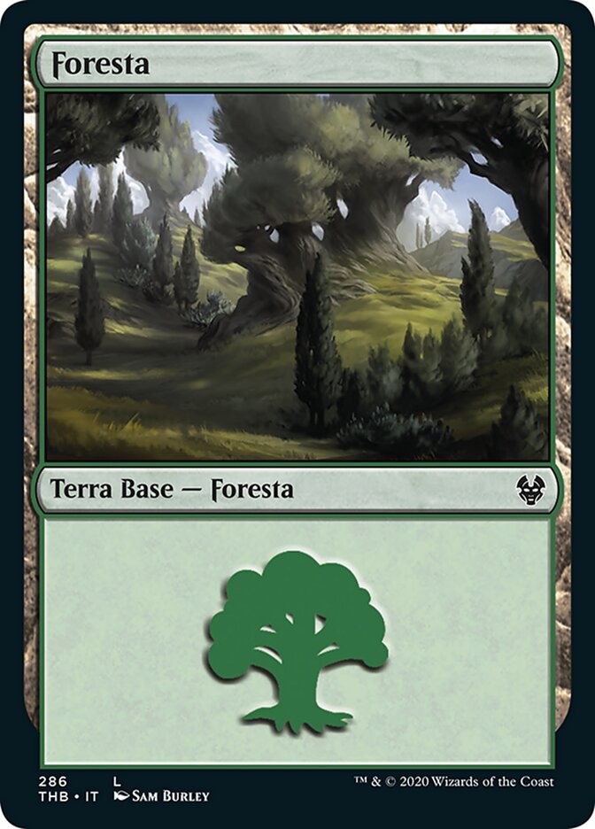 Foresta