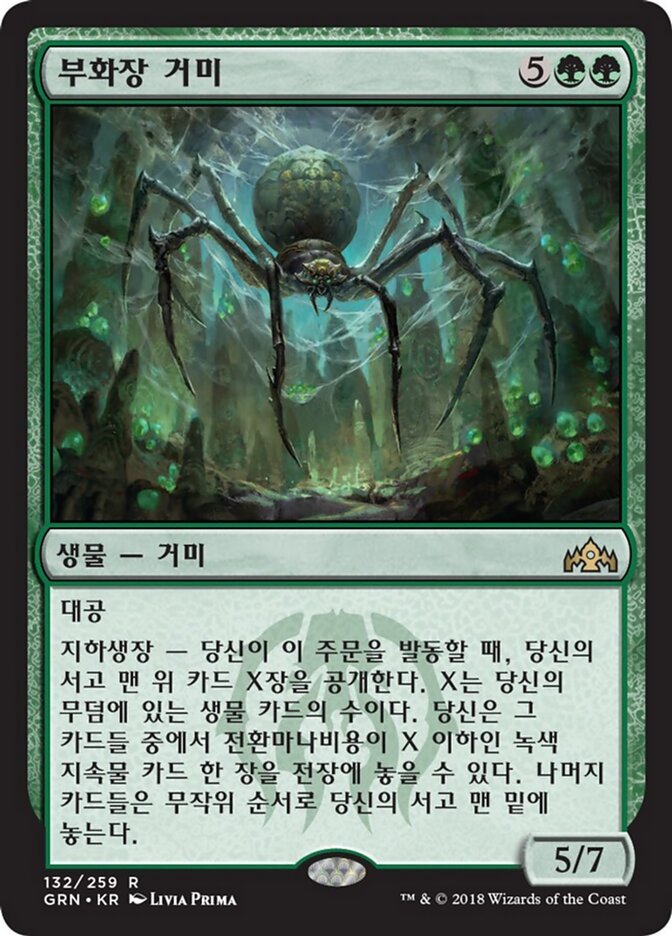 부화장 거미