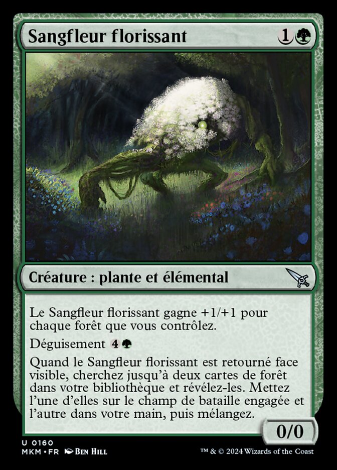 Sangfleur florissant