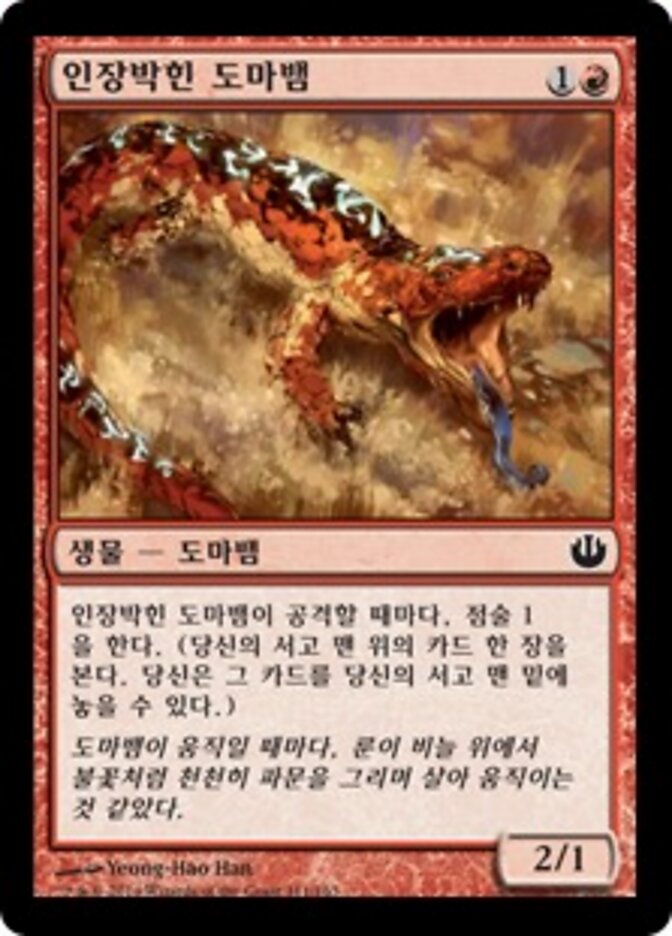 인장박힌 도마뱀